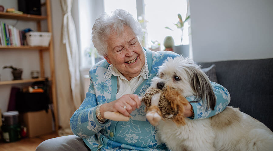Woman playing with dog on couch