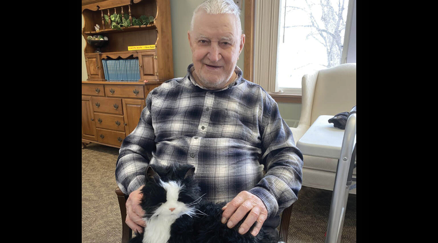 Robotic Cats Provides Companionship