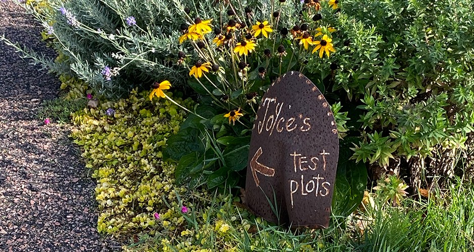 Gardening grows community connection